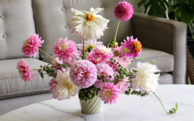 When and How to Plant Your Dahlias