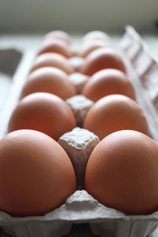 Pastured organic eggs in Langley, BC