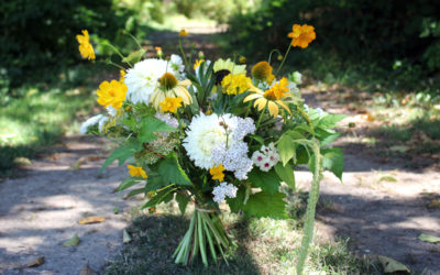 How To Get the Longest Possible Vase Life From Your Dahlias